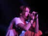 311.jpg (12765 bytes)