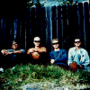 Offsp096.gif (46528 bytes)